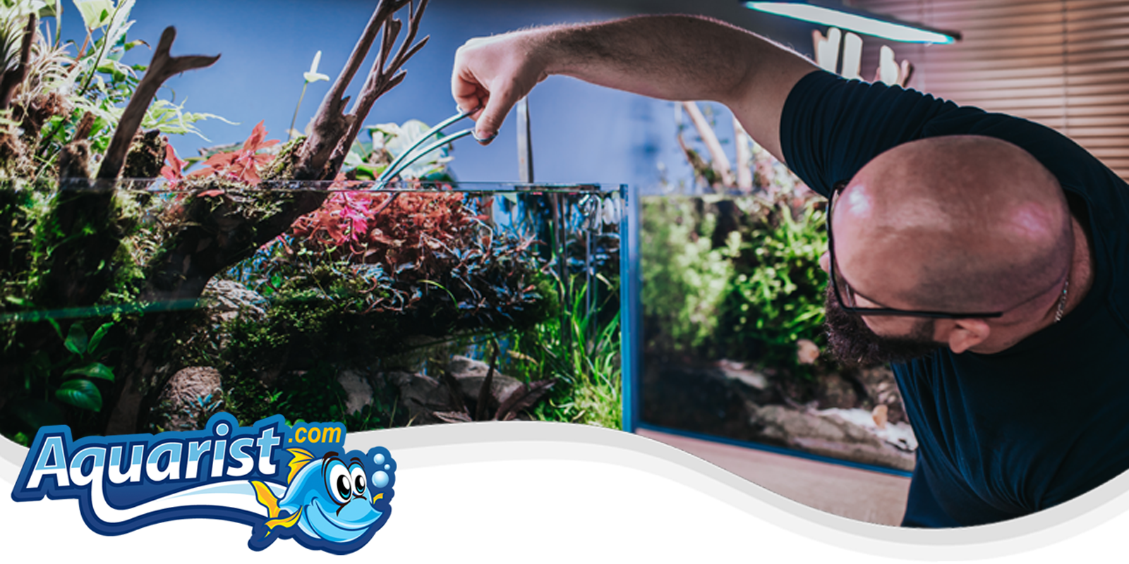 Aquarium Designs Aquarium Designs
