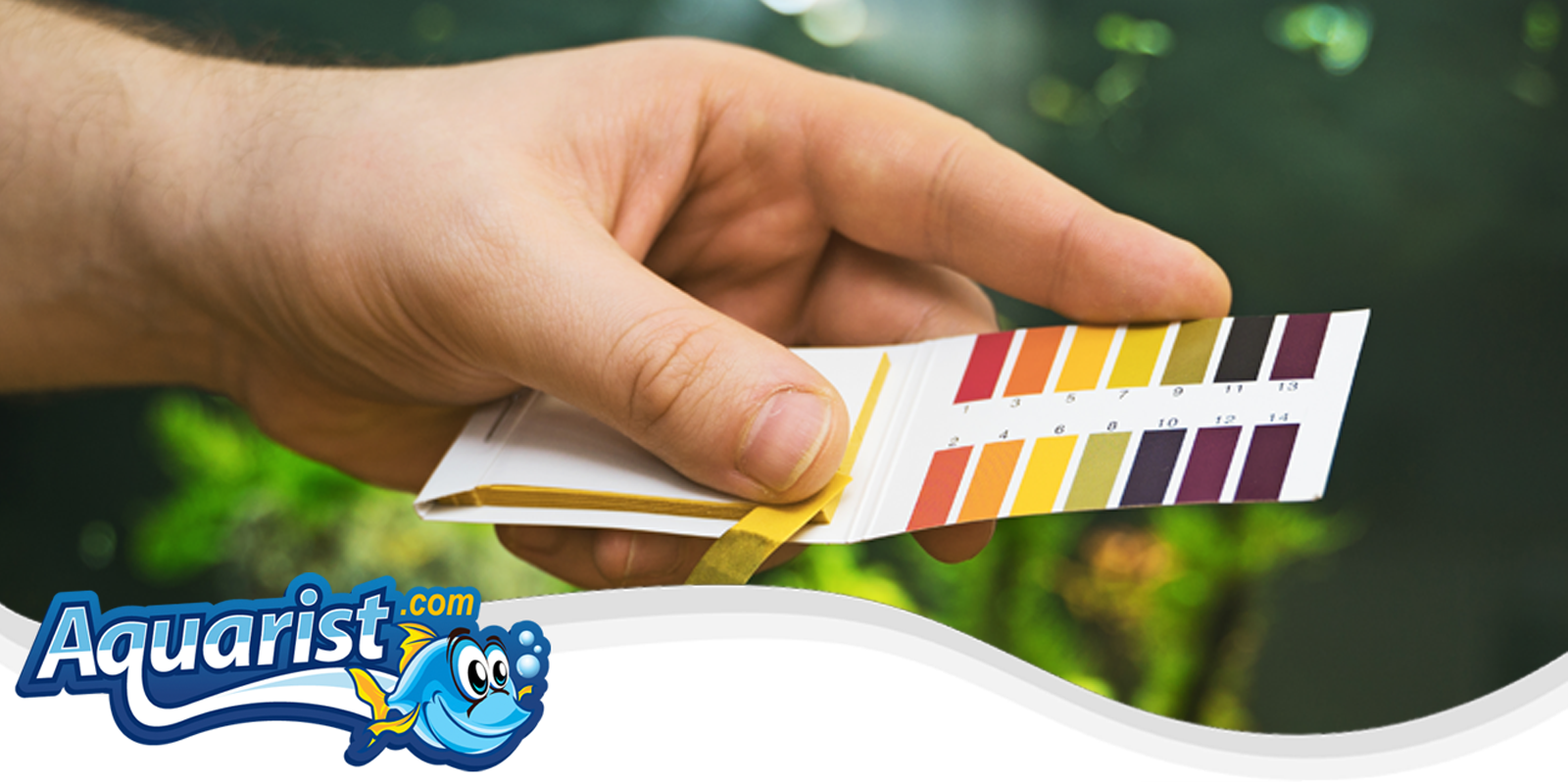 Water Quality Water Quality