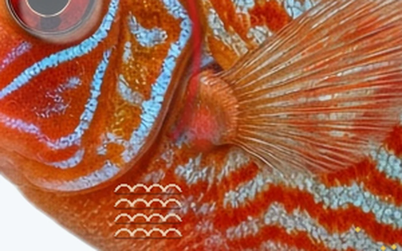 Ammonia and Nitrite Poisoning in a freshwater fish