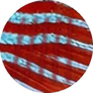 Fin Hemorrhaging close-up