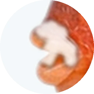 Mouth Fungus close-up